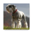 icon Miniature schnauzer Wallpapers 5.0