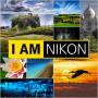 icon Nikon Art
