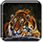 icon Tiger Live Wallpaper 1.11