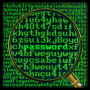 icon Secret_Password für Samsung Galaxy Pocket S5300