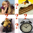 icon Antonyms 1.33