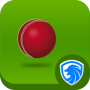 icon AppLock Theme - Cricket für Samsung Galaxy Ace S5830I