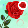 icon Rose Love Live Wallpaper