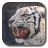 icon Bengal Tiger 1.3