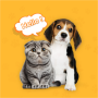 icon Dog & Cat Translator Prank App für Gionee S6s