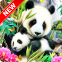 icon Panda Wallpaper