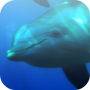 icon Sea Fun Games – free für Konka S5 Plus