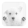 icon Puppies Wallpapers