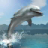 icon Dolphin Survival Simulator 1.0