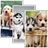 icon Puppies HD Wallpaper Pro 4.0