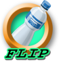 icon Bottle Flip adventure