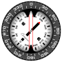 icon Compass PRO für LG X Skin