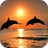 icon Amazing Dolphins HD 9.0