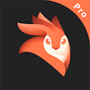 icon com.leapvid.leapeditor.vidleap.video.pro.x