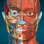 icon Anatomy Learning - 3D Anatomy für ZTE Nubia M2 Lite