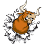 icon Angry Bull Run für Xiaomi Redmi Note 5 SD636 China