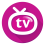 icon Orion TV
