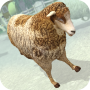 icon Sheep Racing Adventure Game 3D