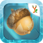 icon NutHunt