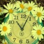 icon flower clock live wallpaper