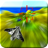 icon Dead Loop LT 1.1