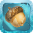 icon NutHunt 1.1