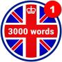 icon 3000 Words