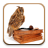 icon com.magiclife.poleznye_sovety 2.3