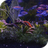 icon Aquarium Live Wallpaper 2.0