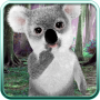 icon Talking Koala Bear