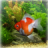 icon Goldfish Aquarium live wallpaper 1.0.3