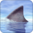 icon Shark Wallpaper 1.0