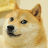 icon Doge 2.5.2