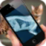 icon Simulation XRay Cat für Samsung Galaxy Ace Duos I589
