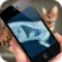 icon Simulation XRay Cat für Cube T10