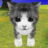 icon Cat Island 2.01