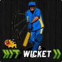 icon Hit Wicket Indian League Cricket