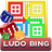 icon Ludo Bing 1.0.28