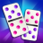 icon Domino Master 3.21.16
