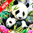 icon Panda Wallpaper 1.5
