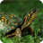 icon Turtle Wallpaper 2.6