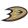 icon Washington Capitals für intex Cloud String V2.0