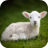 icon Farm Animal Sounds 1.9