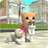 icon CatSim 213