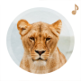 icon Animal Sounds Ringtones