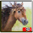 icon Desert Horse Racing Adventure 1.0