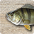 icon My Fishing HD 1.5.28