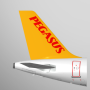 icon Pegasus: Cheap Flight Tickets