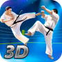 icon Karate Fighting Tiger 3D2