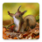 icon Squirrel Wallpapers 4.0